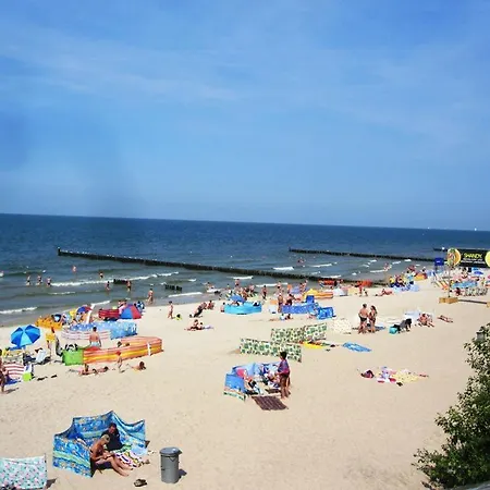 Natura Park - Domki, *